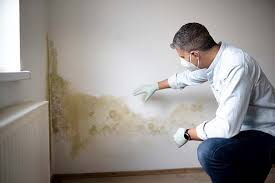 Mold Remediation for Vacation Homes in Aptos Hills Larkin Valley, CA